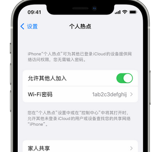 察布查尔apple服务站点分享iPhone上个人热点丢失了怎么办