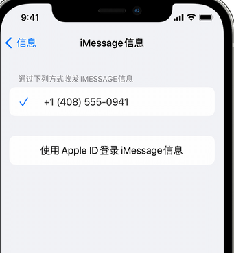 察布查尔apple维修iPhone上无法正常发送iMessage信息 