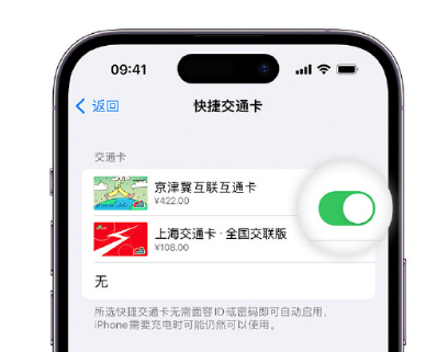 察布查尔apple维修点分享iPhone上更换Apple Pay快捷交通卡手绘卡面 