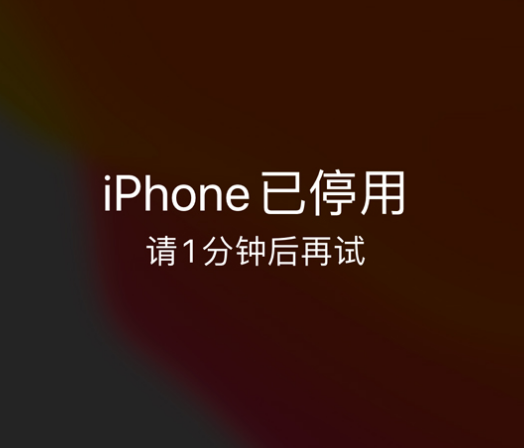 察布查尔苹果手机维修分享:iPhone 显示“不可用”或“已停用”怎么办？还能保留数据吗？ 