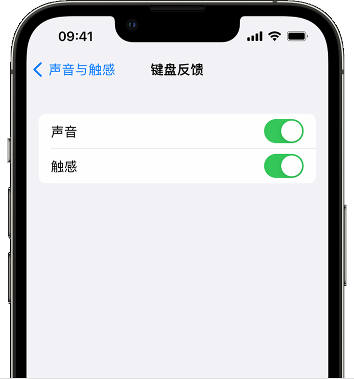 察布查尔苹果14维修店分享如何在 iPhone 14 机型中使用触感键盘 