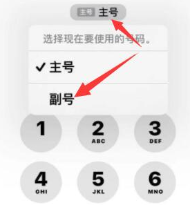 察布查尔苹果14维修店分享iPhone 14 Pro Max使用副卡打电话的方法 