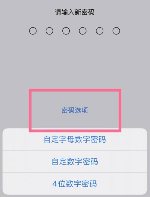 察布查尔苹果14维修分享iPhone 14plus设置密码的方法 