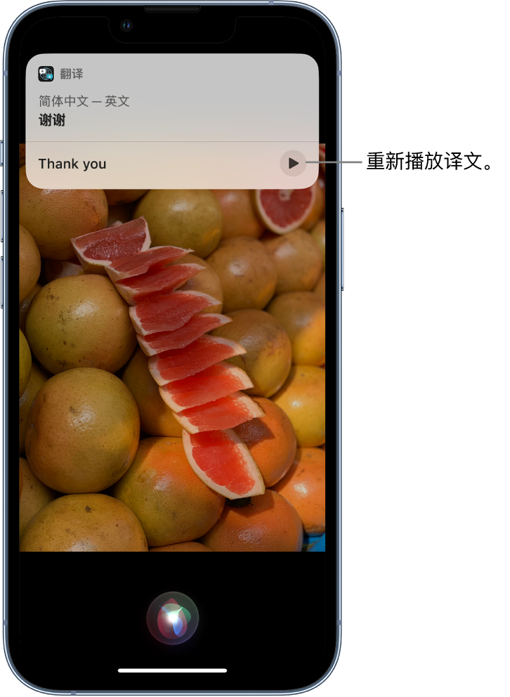 察布查尔苹果14维修分享 iPhone 14 机型中使用 Siri：了解 Siri 能帮你做什么 