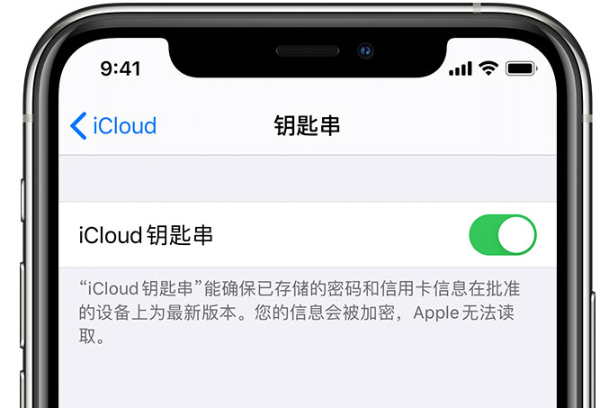 察布查尔苹果手机维修分享在 iPhone 上开启 iCloud 钥匙串之后会储存哪些信息 