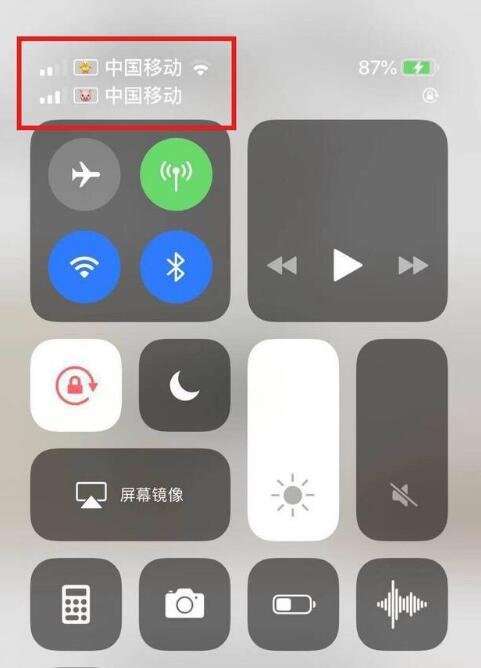 察布查尔苹果手机维修分享为 iPhone 12 双卡设置标签 